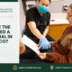 A dentist in a mask and gloves points to a chart for a patient sitting in a dental chair, with text asking about signs needing a root canal, plus contact information for Aspenwood Dental Associates.